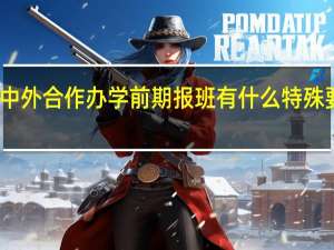 中外合作办学前期报班有什么特殊要求吗