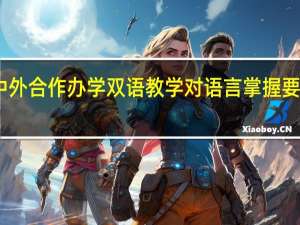 中外合作办学双语教学对语言掌握要求高吗