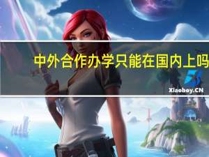中外合作办学只能在国内上吗