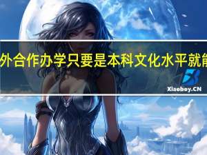 中外合作办学只要是本科文化水平就能报上吗