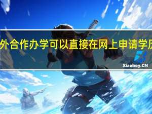 中外合作办学可以直接在网上申请学历认证吗