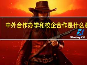 中外合作办学和校企合作是什么意思