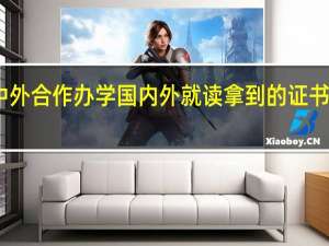 中外合作办学国内外就读拿到的证书一样吗