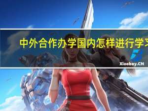 中外合作办学国内怎样进行学习