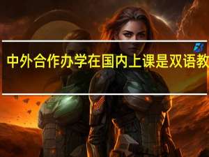 中外合作办学在国内上课是双语教学吗