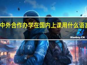 中外合作办学在国内上课用什么语言教学