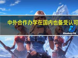 中外合作办学在国内也备受认可吗