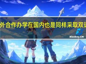 中外合作办学在国内也是同样采取双语教学吗