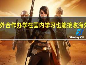 中外合作办学在国内学习也能接收海外资源吗