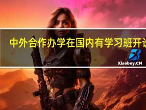 中外合作办学在国内有学习班开设吗
