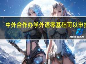中外合作办学外语零基础可以申报吗