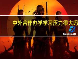 中外合作办学学习压力很大吗