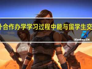 中外合作办学学习过程中能与留学生交流经验吗