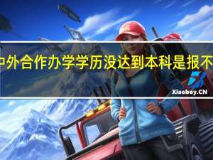 中外合作办学学历没达到本科是报不上的吗
