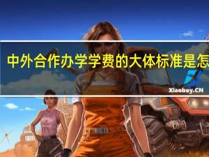 中外合作办学学费的大体标准是怎样的