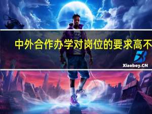 中外合作办学对岗位的要求高不高