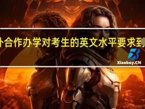 中外合作办学对考生的英文水平要求到英语几级
