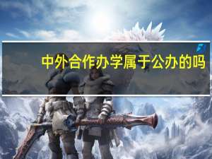 中外合作办学属于公办的吗
