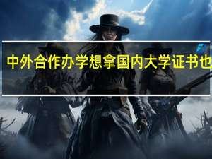 中外合作办学想拿国内大学证书也行吗