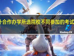 中外合作办学所选院校不同参加的考试亦不同吗