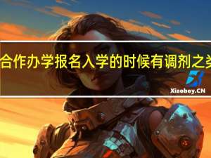 中外合作办学报名入学的时候有调剂之类的说法吗