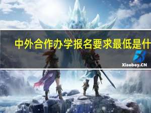 中外合作办学报名要求最低是什么