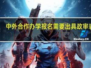 中外合作办学报名需要出具政审表吗