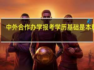 中外合作办学报考学历基础是本科吗