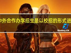 中外合作办学招生是以校招的形式进行的吗