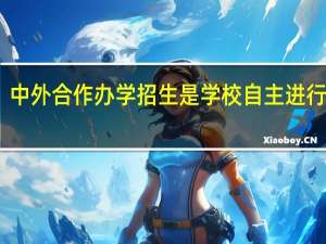 中外合作办学招生是学校自主进行的吗