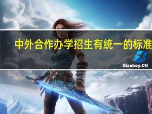 中外合作办学招生有统一的标准吗