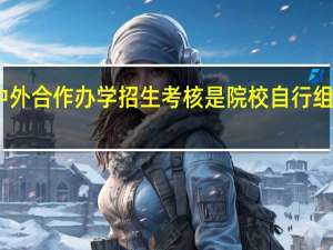 中外合作办学招生考核是院校自行组织的吗