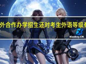 中外合作办学招生还对考生外语等级有要求吗