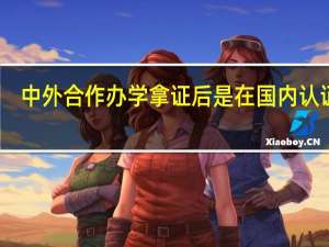 中外合作办学拿证后是在国内认证吗