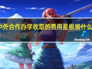中外合作办学收取的费用是根据什么来定的
