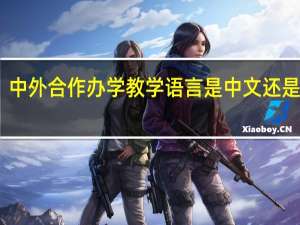 中外合作办学教学语言是中文还是外语