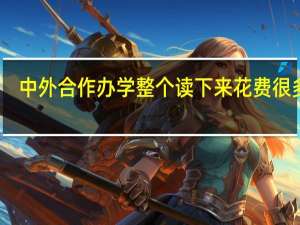 中外合作办学整个读下来花费很多吗