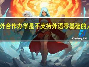 中外合作办学是不支持外语零基础的人报读吗