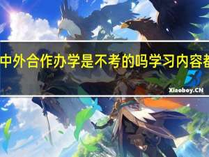 中外合作办学是不考的吗学习内容都是啥