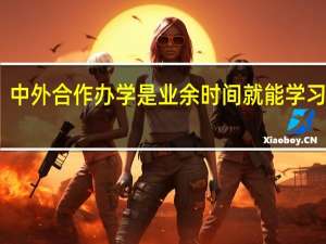 中外合作办学是业余时间就能学习的吗