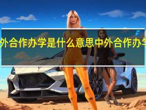 中外合作办学是什么意思 中外合作办学的意思