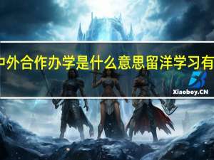 中外合作办学是什么意思留洋学习有必要吗