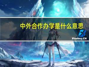 中外合作办学是什么意思
