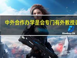 中外合作办学是会专门有外教授课吗