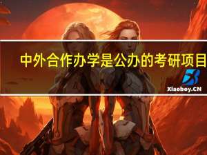 中外合作办学是公办的考研项目吗