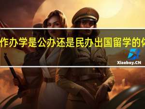 中外合作办学是公办还是民办出国留学的体验是真的吗
