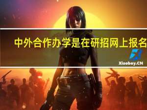 中外合作办学是在研招网上报名吗