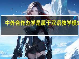 中外合作办学是属于双语教学模式吗