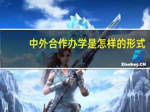 中外合作办学是怎样的形式