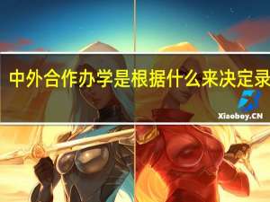 中外合作办学是根据什么来决定录取的